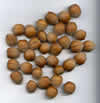 22 - Noisette
